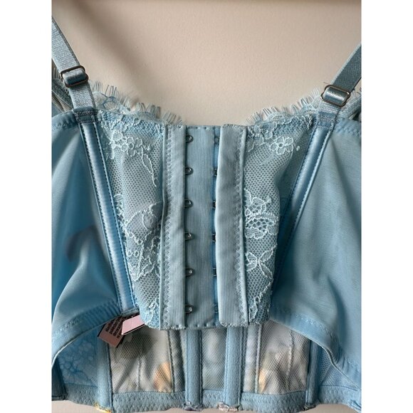 Dream Angels Lace Unlined Corset Bra Top lemon Print baby blue small DD NWT - Picture 8 of 11